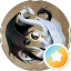 Nacil Avatar